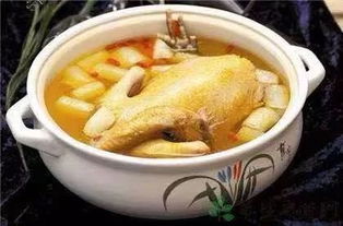 冬季滋补炖鸡的食材选择什么煲汤好